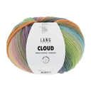 Lang Yarns Cloud 0021 Blauw/Oranje/Groen/Roze