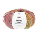 Lang Yarns Cloud Funky 0024 Baksteenrood/Aubergine/Ivoor/Roze