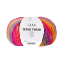 Lang Yarns Cloud Tweed 001 Meerkleurig