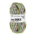 Lang Yarns Super Soxx Color 4-Fach 566 Groen/Bruin 1153 Kiwi