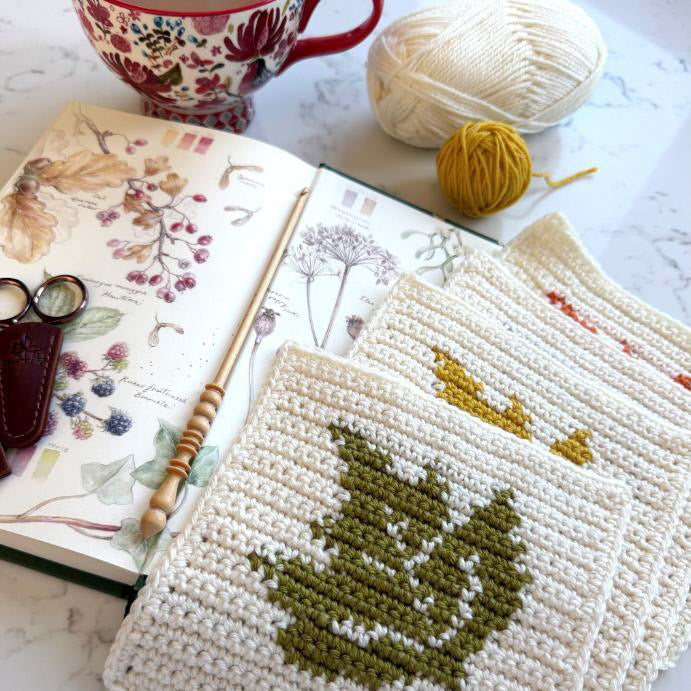 Stylecraft Autumn CAL - Love Letters to Autumn - MadebyAnita Misty Moors Special DK Garenpakket