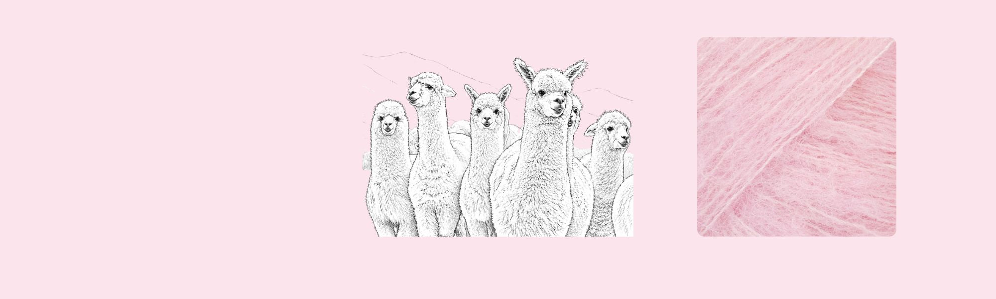 Alpaca wol