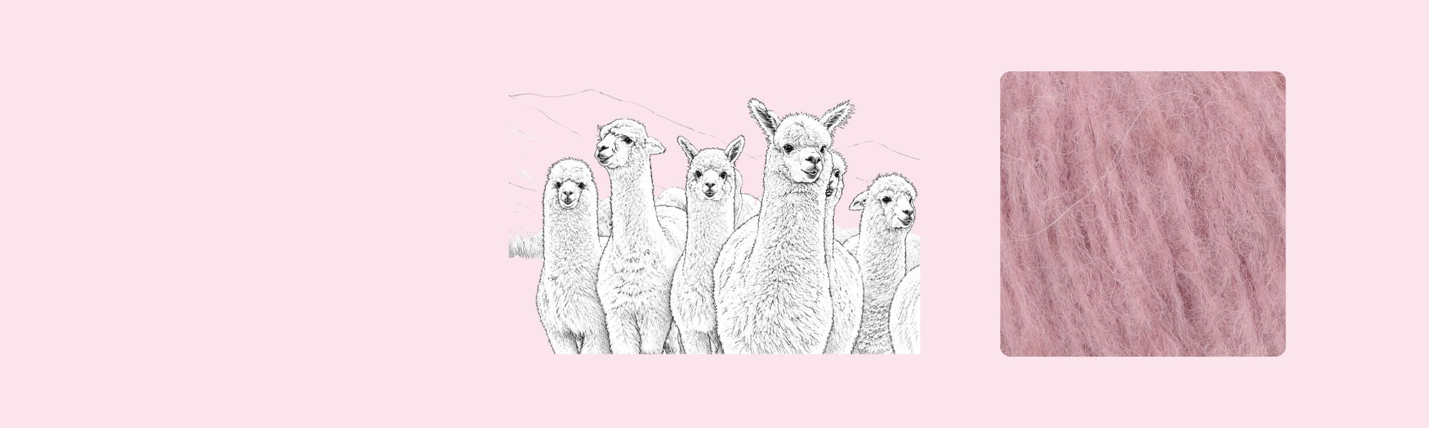 Lama wol