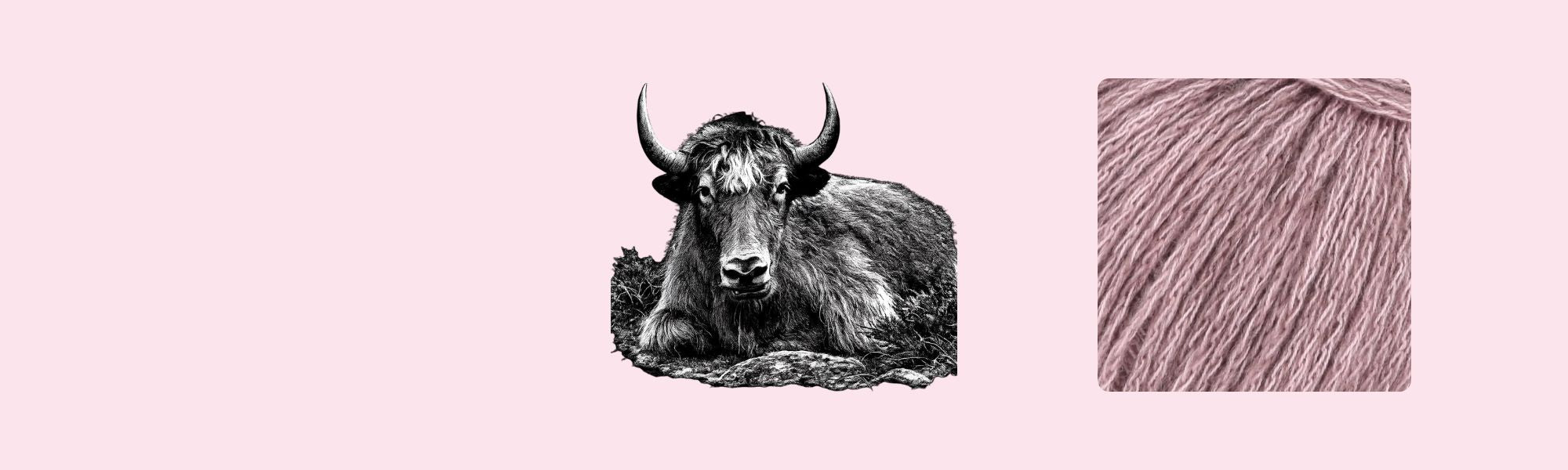 Yak wol