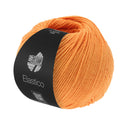 Lana Grossa Elastico 158 Abrikoos