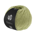 Lana Grossa Elastico 166 Hooi Groen