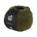 Lana Grossa Elastico 175 Groen Bruin