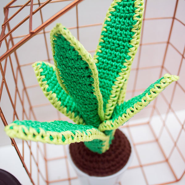Haakpatroon Vetplantjes (2)