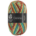 Lana Grossa Meilenweit 6-Fach 150 Cervinia 9755 Lichtgroen/Mint/Rood-/Donkerbruin/Ecru/Limoen/Curry/Turquoiseblauw
