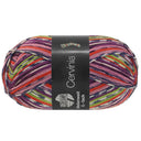 Lana Grossa Meilenweit 6-Fach 150 Cervinia 9757 Terracotta/Meigroen/Donkerblauw/Wit/Violet/Roze