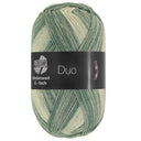 Lana Grossa Meilenweit 6-Fach 150 Duo 9725 Groen-/Lichtgrijs