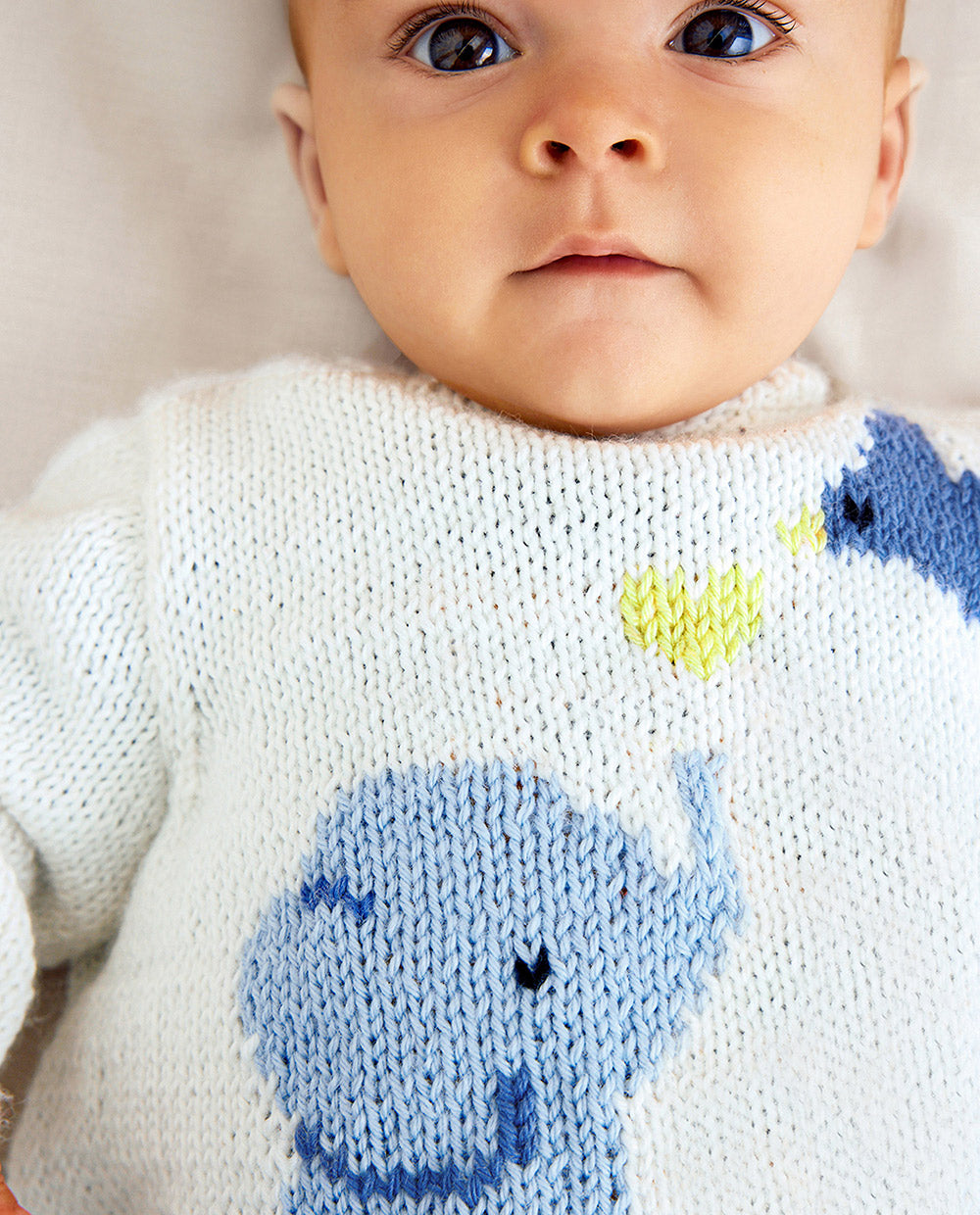 Phildar Phil Coton (17)