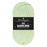 Scheepjes Big Darling 429 Toad