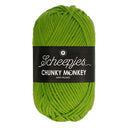 Scheepjes Chunky Monkey 2016 Fern