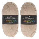 Scheepjes Colour Crafter Solid Pack 2x150g Hasselt