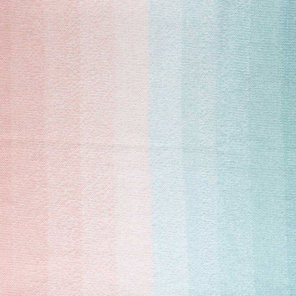 Scheepjes Cotton Whirl