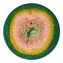 Scheepjes Cotton Whirl 732 Colour Me Crafty