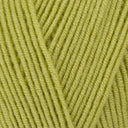 Stylecraft Bellissima DK 7216 Luscious Leaf