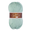 Stylecraft Special Aran 1820 Duck Egg