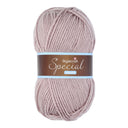 Stylecraft Special Chunky 1832 Mushroom