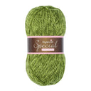 Stylecraft Special DK 1124 Greengage