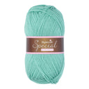 Stylecraft Special DK 1842 Spearmint