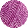 029
