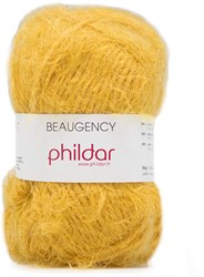Phildar Phil Beaugency