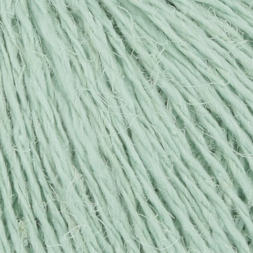 Ananas detailfoto