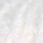 494