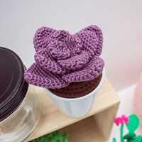 Haakpatroon Vetplantjes-2