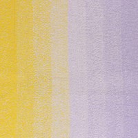 Scheepjes Cotton Whirl 716 Purple Passion-2