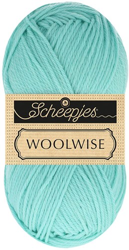 Scheepjes Woolwise 752 Aqua Marine
