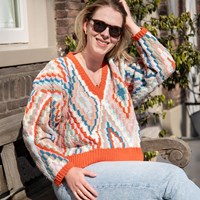 Kleurrijke V-hals Sweater Haakpakket