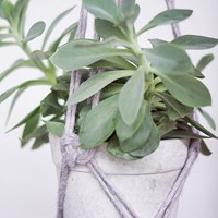 Macramépatroon Plantenhanger-3