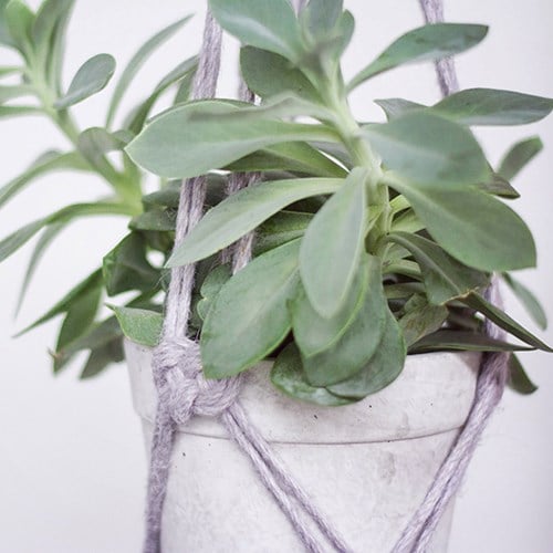 Macramépatroon Plantenhanger-3