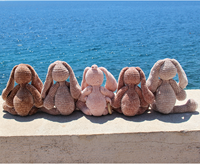 Haakpatroon Bunny Friends