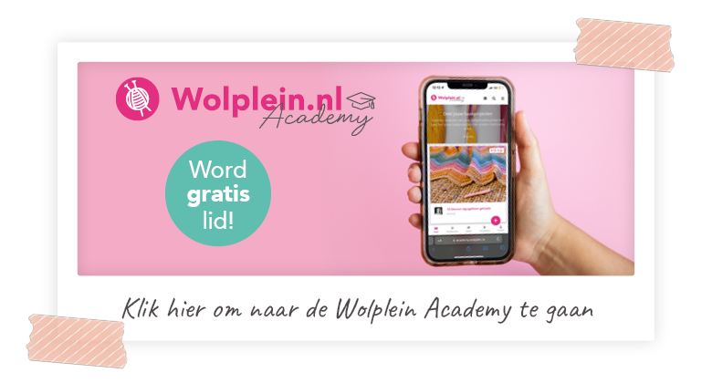 Wolplein academy
