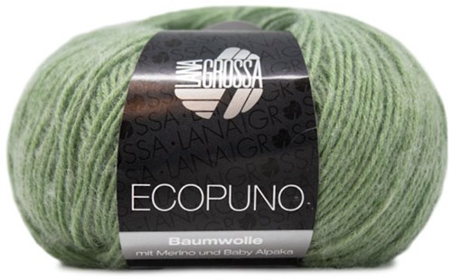 Lana Grossa Ecopuno 020 Resada Groen