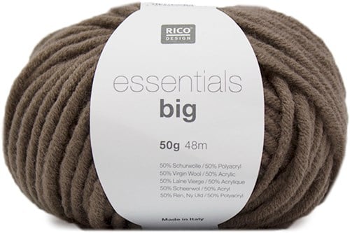 Rico Essentials Big 21 Wood