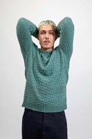 vaya model