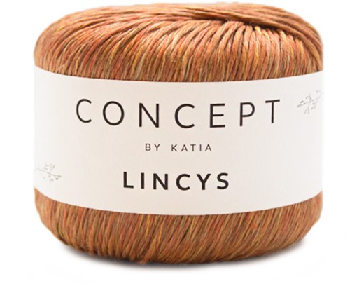 Katia Lincys 310
