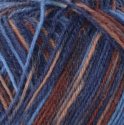SMC Regia Sokkengaren 4-draads Color 5171-2