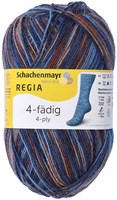 SMC Regia Sokkengaren 4-draads Color 5171