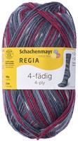 SMC Regia Sokkengaren 4-draads Color 2896