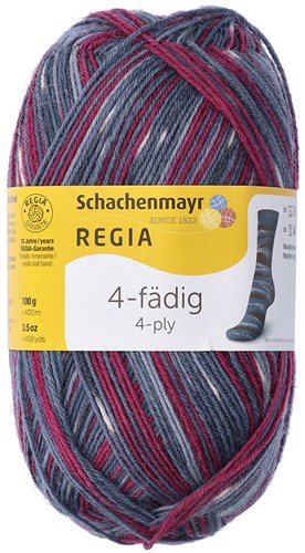 SMC Regia Sokkengaren 4-draads Color 2896