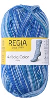 SMC Regia Sokkengaren 4-draads Color 2476