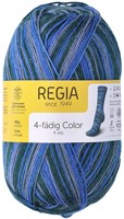SMC Regia Sokkengaren 4-draads Color 2595