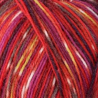 SMC Regia Sokkengaren 4-draads Color 9375-2