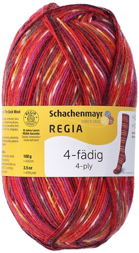 SMC Regia Sokkengaren 4-draads Color 9375